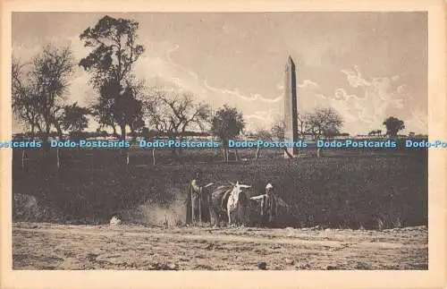R472847 The Obelisque of Matarihe Castro Brothers Editors Cairo
