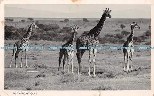 R469471 East African Game S Skulina Pegas Studio 1953