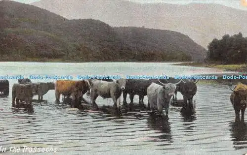 R469479 in der Trossachs J W B Commercial Serie Nr. 306