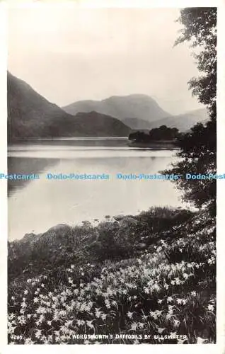 R476275 Wordsworth Narzissen von Ullswater G P Abraham 1955