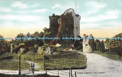 R472964 F F Ross Castle Killarney Chas L Reis