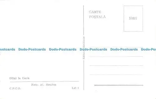 R476331 Oltul la Cozia C P C S Al Mendrea Meridiane