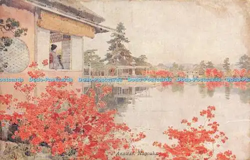 R473059 Azaleen Nagoaka Souvenir Japan British Exhibition Flowers and Gardens of