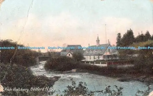 R478869 Bedford N S Fish Hatchery W E Hebb