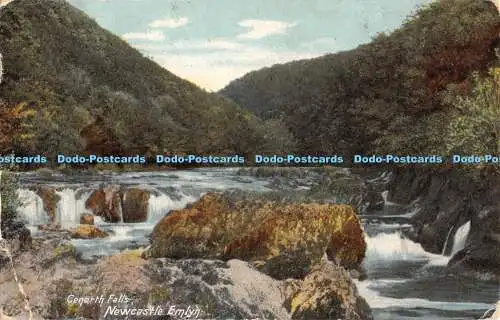 R469747 Newcastle Emlyn Cenarth Falls Brown and Rawcliffe 1904