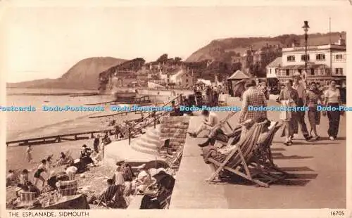 R479067 Sidmouth The Esplanade J Salmon