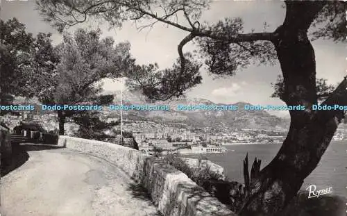R473422 Les Bords de la Riviera Monte Carlo vu de Monaco Societe Editions RP