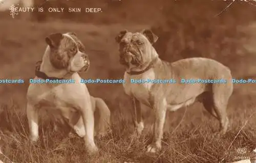 R476752 Beauty is Only Skin Deep E A Schwerdtfeger 1913