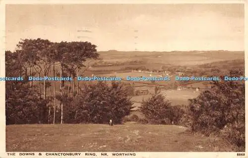 R470010 The Downs and Chanctonbury Ring Nr Worthing J Salmon Gravure Style 1938