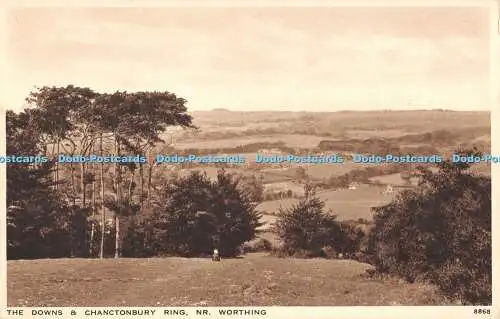 R470017 The Downs and Chanctonbury Ring Nr Worthing J Salmon Gravure Style