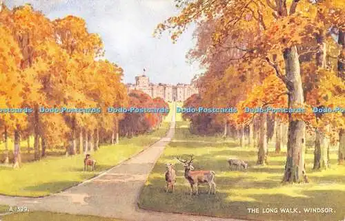 R470020 Windsor The Long Walk Valentine Art Farbe E W H 1957