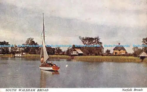 R470059 Norfolk Broads South Walsham Broad J Salmon