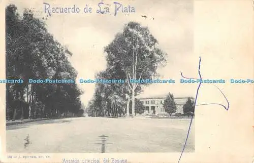 R479547 Avenida Principale del Bosque Recuerdo de Sa Plata J Peuser