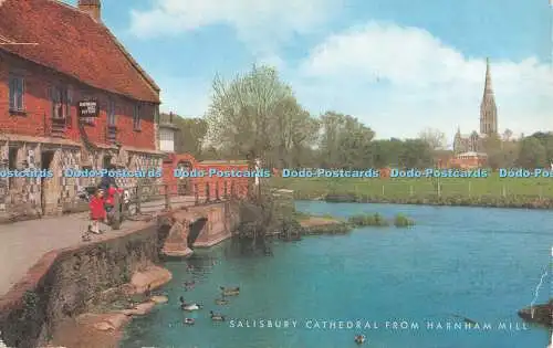 R479777 Kathedrale von Salisbury von Harnham Mill J Salmon