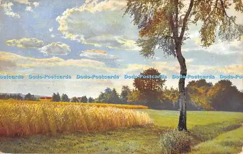 R479916 Fields Photochromie N und D Serie 152 Nr 2799