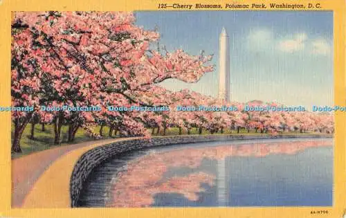 R474364 Washington D C Kirschblüten Potomac Park C T Kunst Farbton Postkarte