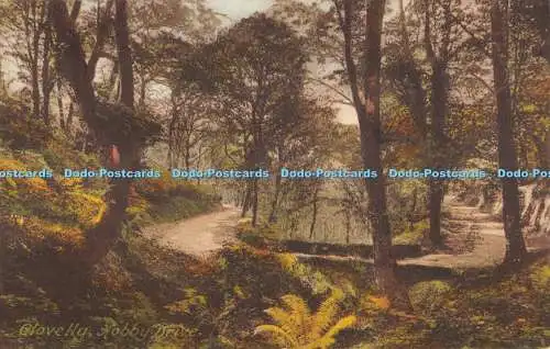 R474438 Clovelly Hobby Drive F Frith No 24779