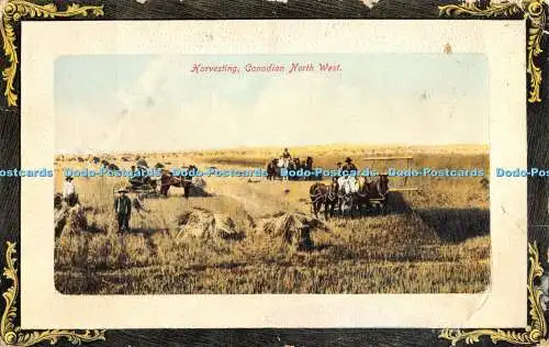 R471129 Ernte Canadian North West Stedman Bros S B 4210