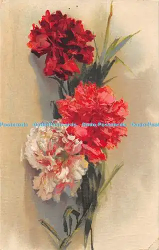 R471508 Blumen G O M 2303 Grußkarte Postkarte