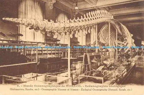 R480015 Musee Oceanographique de Monaco Oceanographie Zoologique J Gilletta