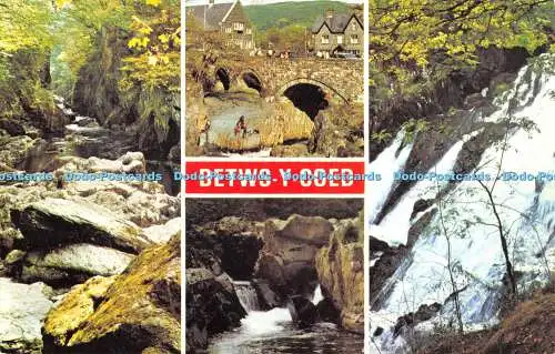 R480167 Bettys y Coed Fairy Glen Ponty Pair E T W Dennis Multi View