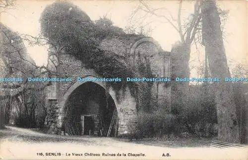 R480238 Senlis Le Vieux Chateau Ruines de la Chapelle Bouillon G Schamel