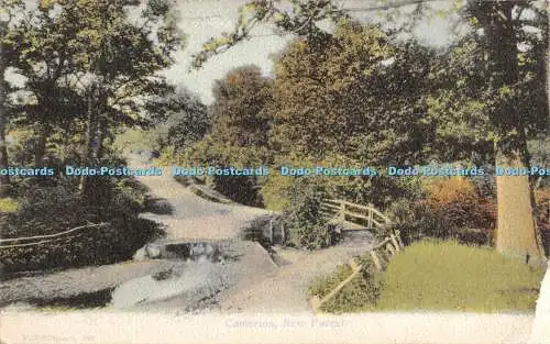 R480265 Canterton New Forest F G O Stuart 1905