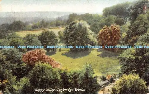 R480291 Tunbridge Wells Happy Valley R B 1906