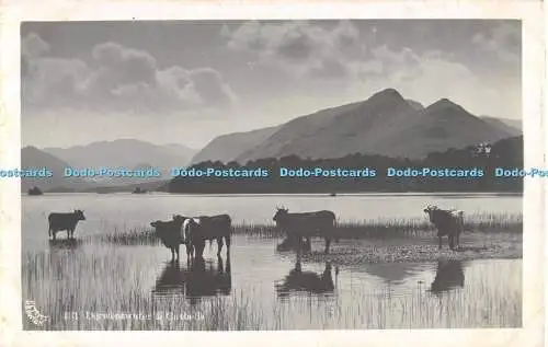 R480366 Derwentwater and Catbells Pettitt