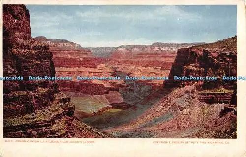 R480501 6326 Grand Canyon of Arizona from Jacobs Ladder 1902 Detroit Photographi