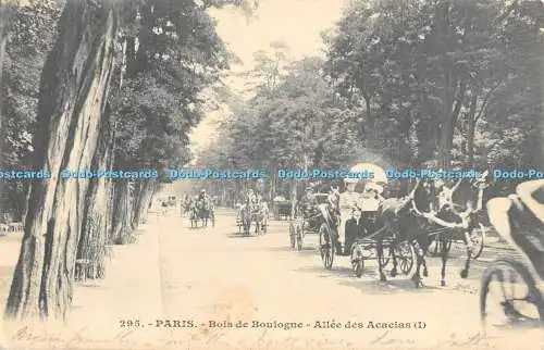 R480516 295 Paris Bois de Boulogne Allee des Acacias 1 Pferde 1903