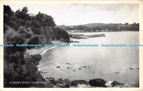 R480527 St Brides Beach Saundersfoot 11140 Salmon