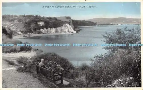 R480535 A Peep at Lovely Beer Whitecliff Devon Dennis B4314 1959