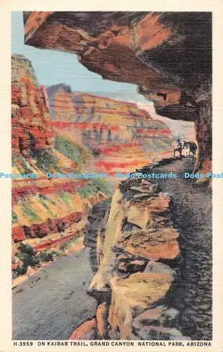 R482027 Arizona On Kaibab Trail Grand Canyon National Park Fred Harvey