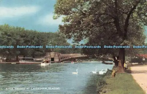 R482249 Reading River Thames bei Caversham J Salmon