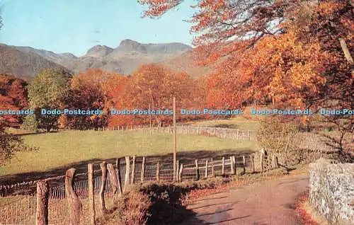 R482259 The Langdale Pikes From Loughrigg J Salmon 1981