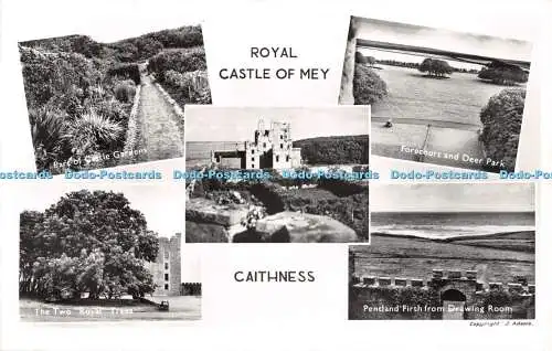 R482370 Königliches Schloss Mey Caithness Teil von Schlossgärten J Adams RP Multi Vi