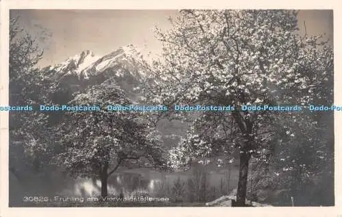 R485091 30826 Fruhling am Vierwaldstattersee 30826 Wehrli A G 1925