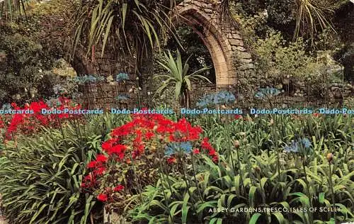 R481834 Isles of Scilly Tresco Abbey Gardens J Salmon Cameracolour 1967