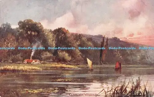 R481867 Cliveden Woods Up the River Tuck Oilette Serie I Postkarte 6420