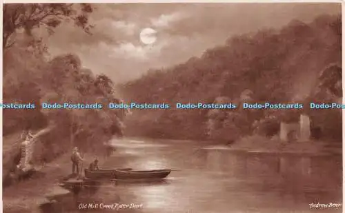 R485382 Old Mill Creek River Dart Andrew Beer