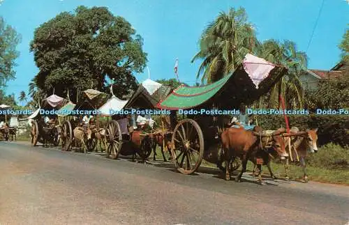 R485530 Malacca Bullock Carts A S M K