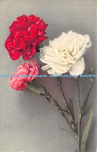 R483509 Bunte Blumen N Z G Serie 401