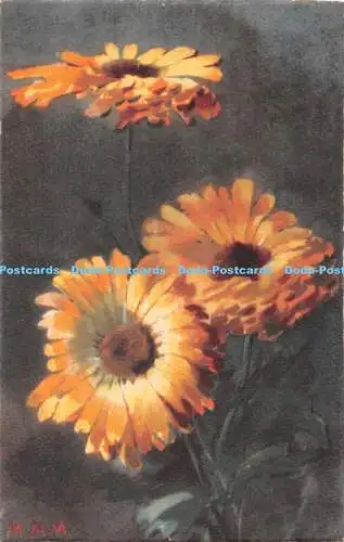 R483510 Orange Blumen Meissner und Buch Serie 2502