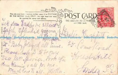 R483584 Giraffen C W Faulkner Postkarte 1905