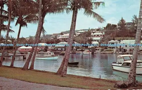 R485736 Flatt Inlet and Village Bermuda Drug Dexter Press Larry Witt
