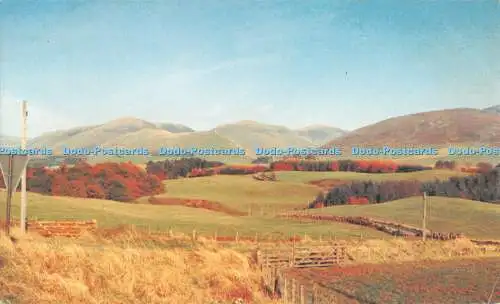 R487352 Dumfriesshire Moniaibe Postkarte