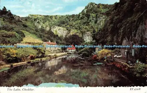 R488978 Cheddar The Lake Bamforth 1980