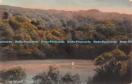 R486002 Sharpham Woods River Dart Frith No 3154 B