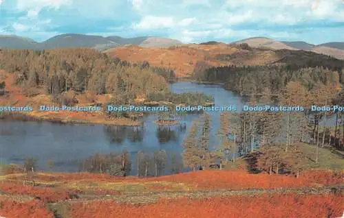 R487576 Tarn Hows English Lakes Salmon